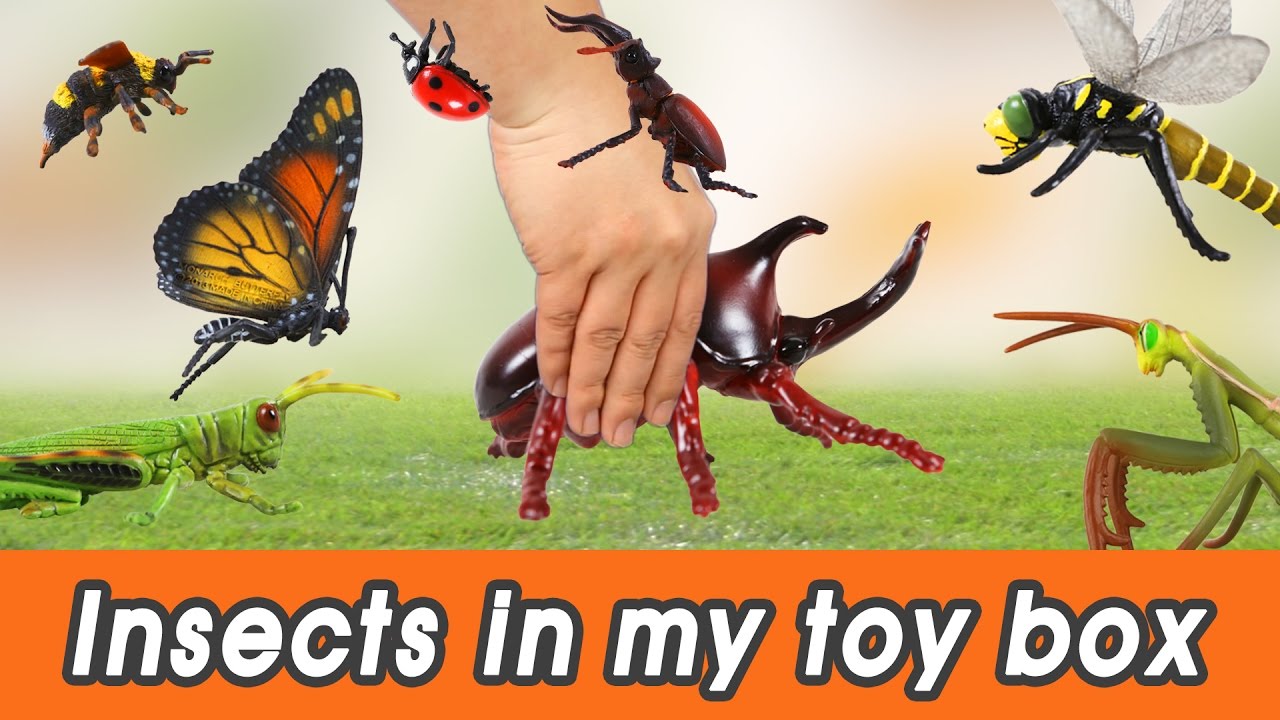 [EN] #57 Insects in my toy box! kids education, Dinosaurs animationㅣCoCosToy