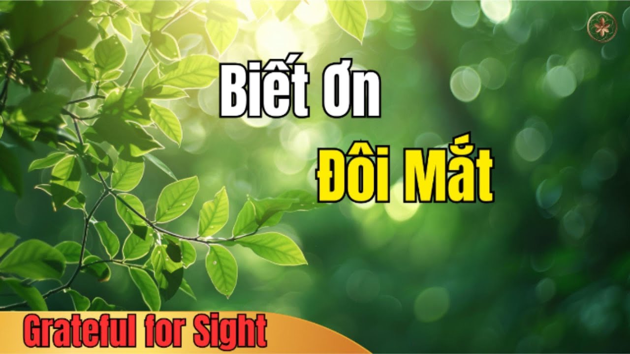 Nếu Một Ngày Không Còn Nhìn Thấy… Bạn Sẽ Nhớ Điều Gì Nhất? | Giàu Tỉnh Thức