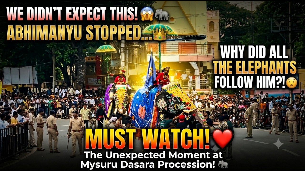 Mysuru Dasara Abhimanyu Stopped!😱 Unexpected Moment at Mysuru Dasara Procession