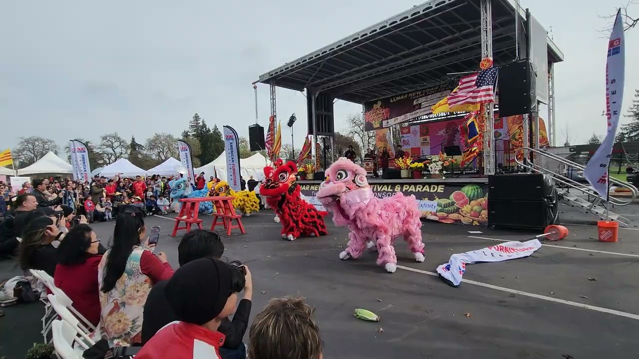 Red Lotus Lion Dance | 2026 Lunar New Year tet Festival & Parade