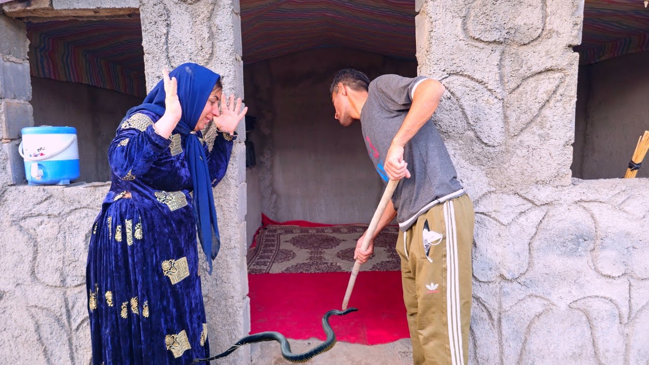 A Venomous Snake Entered The House! What Happened Next Shocke...