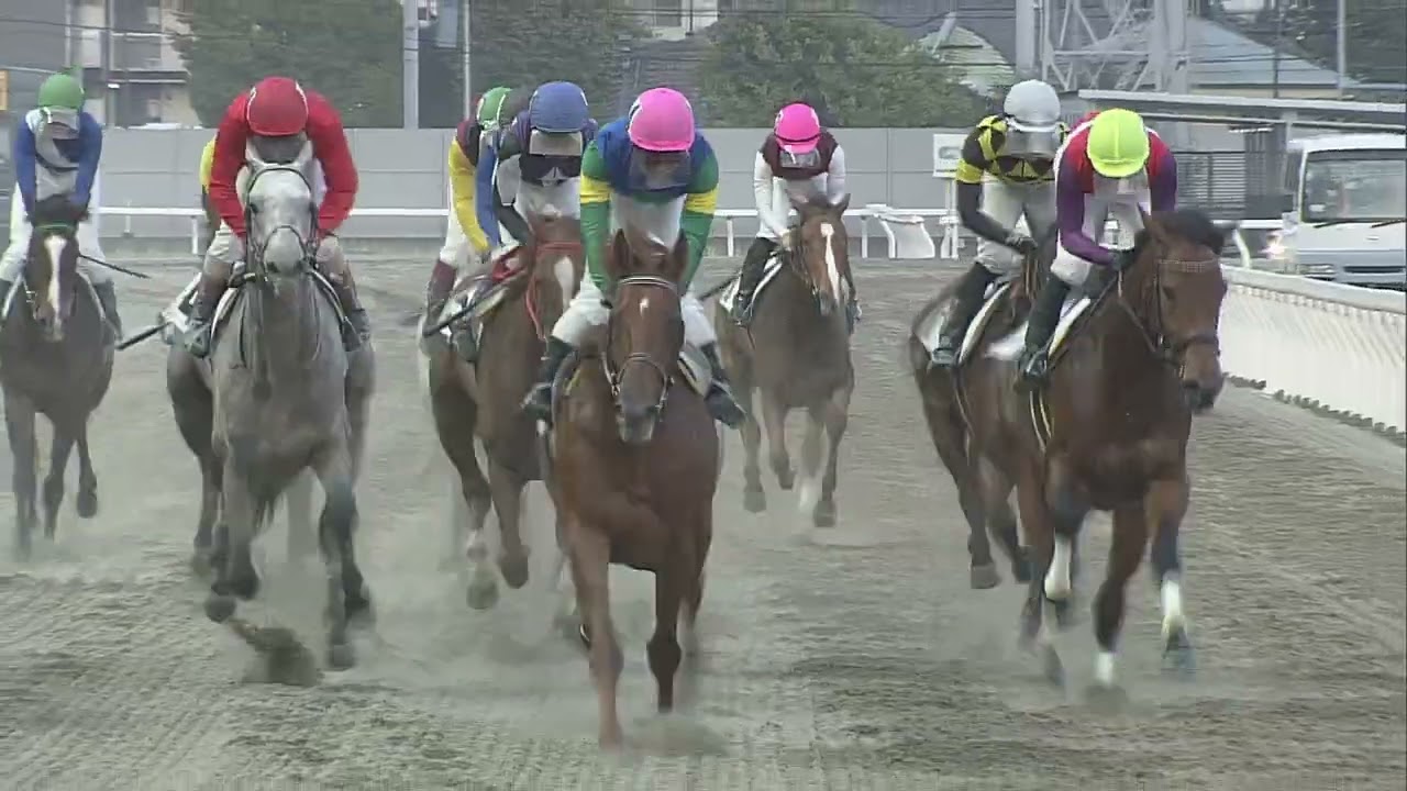 川崎競馬ダイジェスト（2024年11月13日）