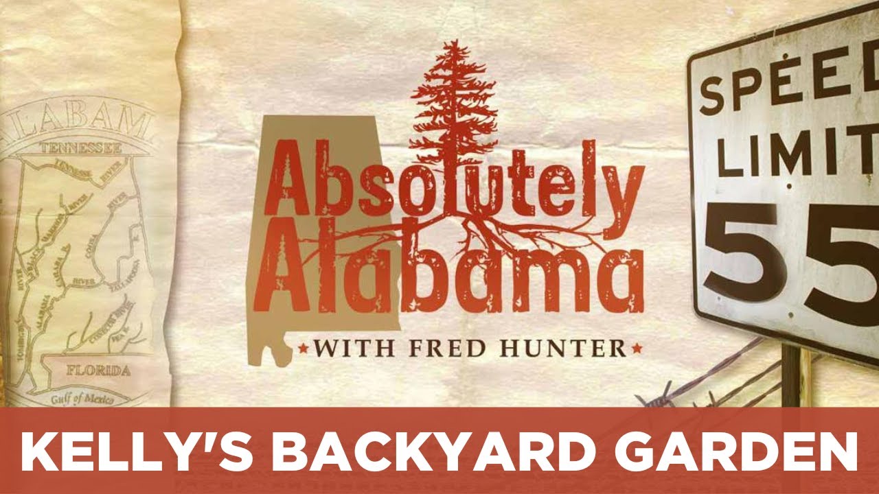 Absolutely Alabama: Kelly's Backyard Garden