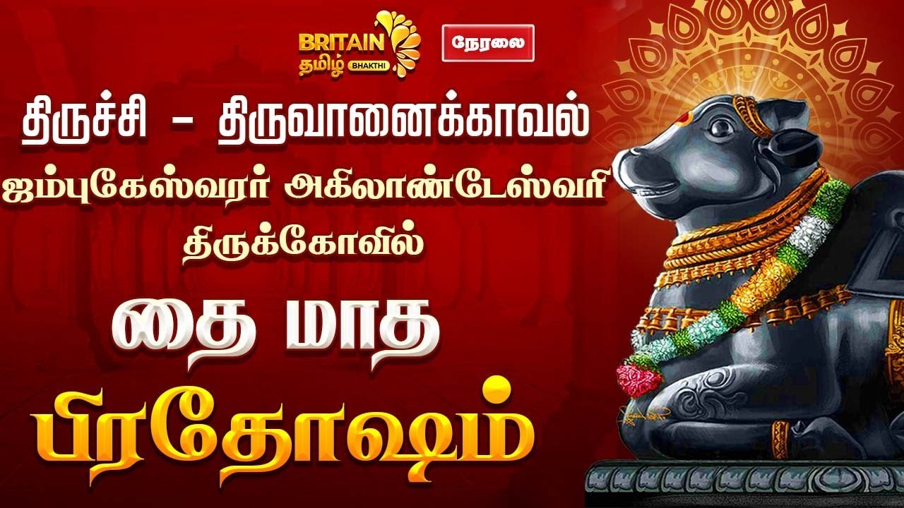 LIVE - திருச்சி திருவானைக்கோயில் ஜம்புகேஸ்வரர் அகிலாண்டேஸ்வரி திருக்கோயில் 'பிரதோஷ வழிபாடு