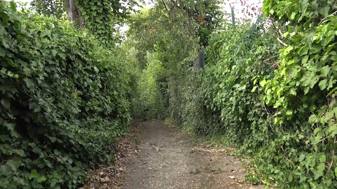 Présentation de Chennevières-sur-Marne