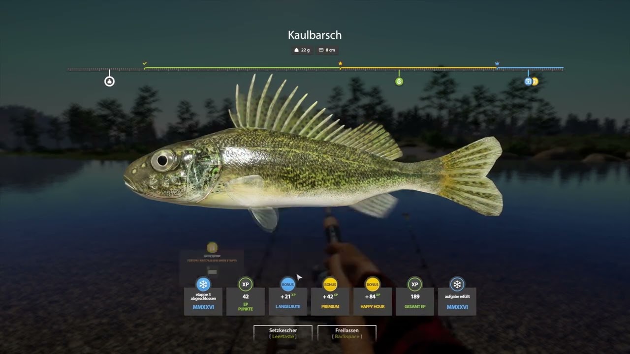 Russian Fishing 4| Neujahresherausforderung 2025 Folge #008 - Belaja Aufgaben abgeschlossen