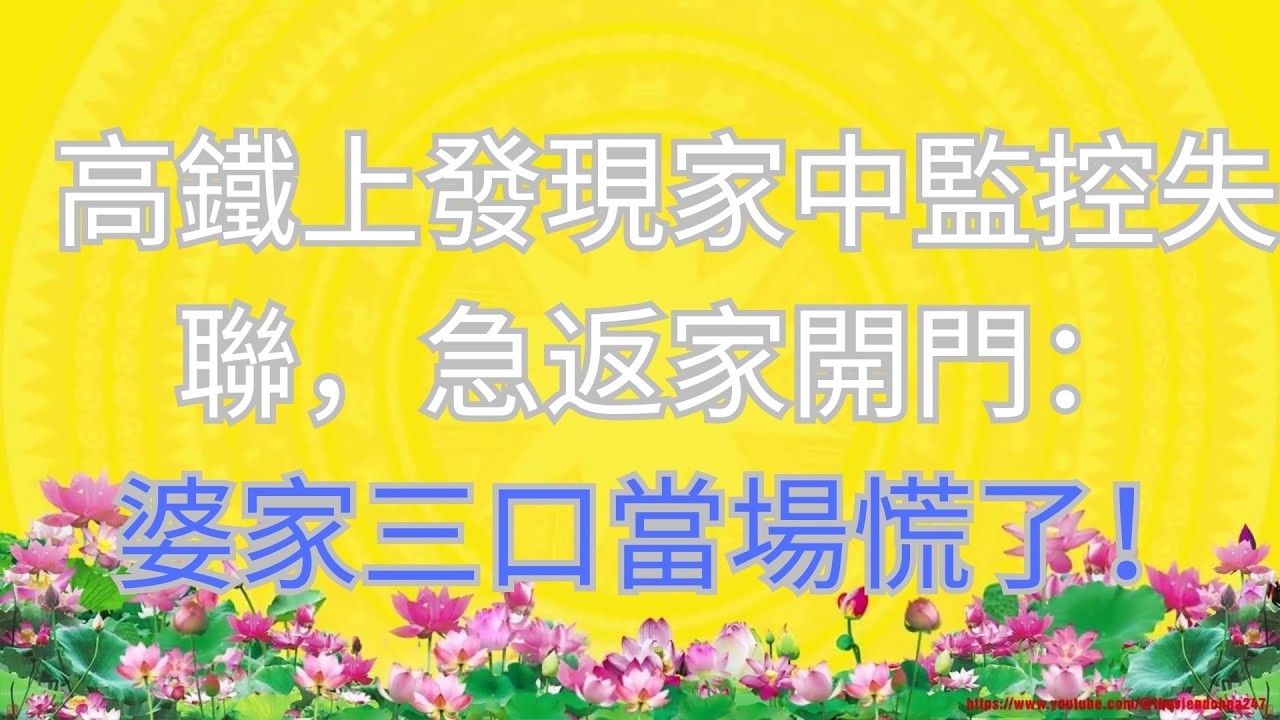 高鐵上發現家中監控失聯，急返家開門：婆家三口當場慌了！#短篇小说 #深夜讲故事 #家庭故事 #小說推文 #故事頻道 #情感故事