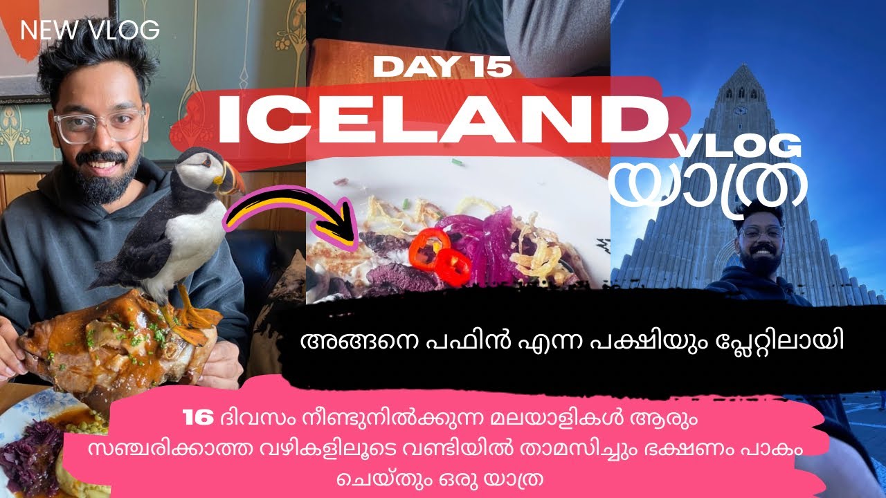 Day 15 | Reykjavík | Hallgrimskirkja | പഫിൻ ഇറച്ചിയും കഴിച്ചു |