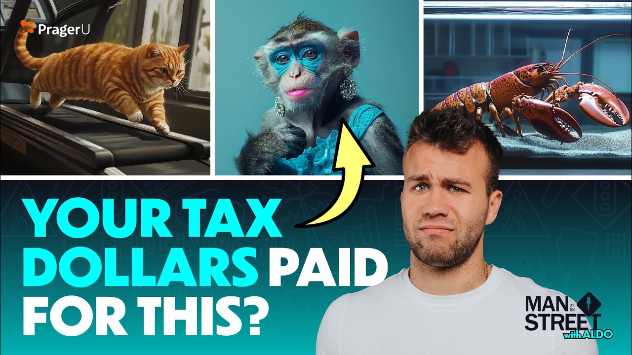Is the Government Wasting Your Tax Dollars? | Man on The Street | PragerU