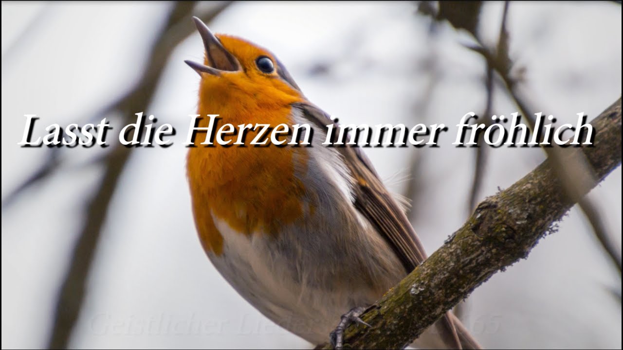 665 - Lasst die Herzen immer fröhlich