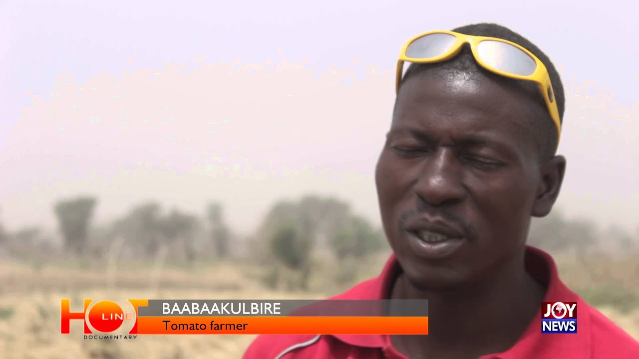 Pwalugu Tomato factory