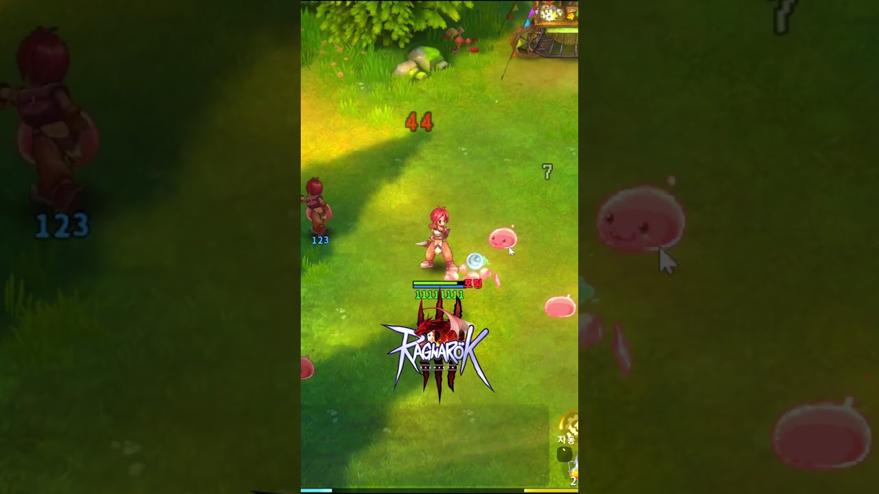 Aprendiz (Sul de Prontera) - Ragnarok 3