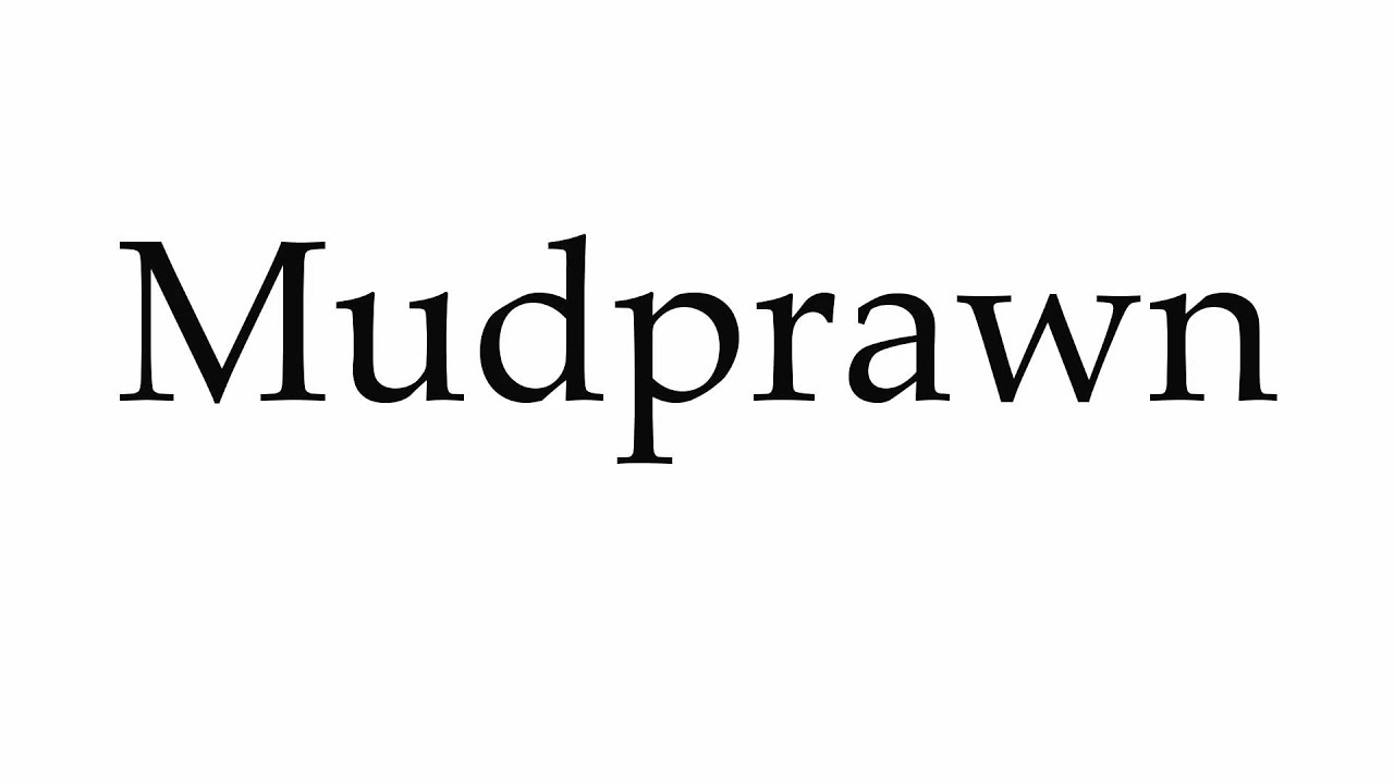 How to Pronounce Mudprawn