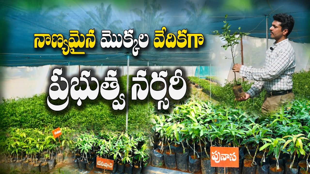 తోటకి మొక్కలు కొంటున్నారా ? ఈ జాగ్రత్తలు తీసుకోండి | Government Nursery | Dr. Shiva Prasad