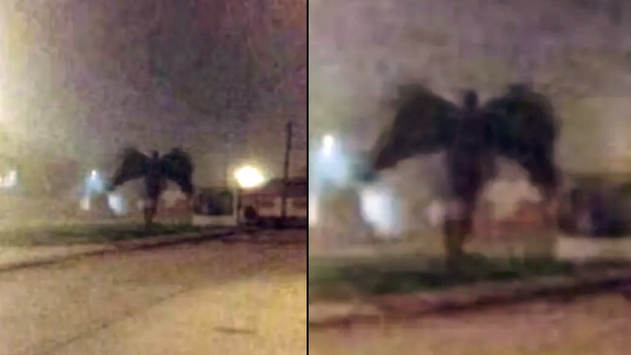 Weird And Unbelievable Things Are Happening Around The World