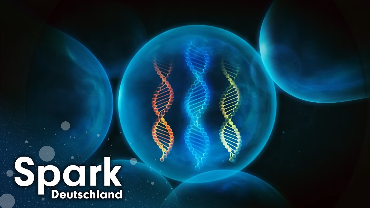 Wie wir das Wissen der Menschheit für Millionen Jahre sichern!