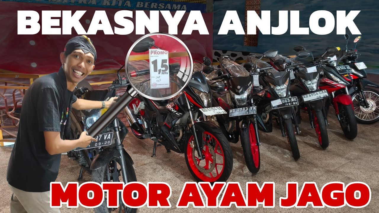 BERKASNYA ANJLOK!? MOTOR AYAGO ALIAS AYAM JAGO - motor bekas murah - ANEKA JASA MOTOR 
