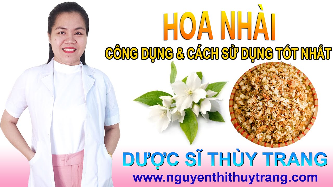 Hoa nhài có tác dụng gì và chữa bệnh gì?