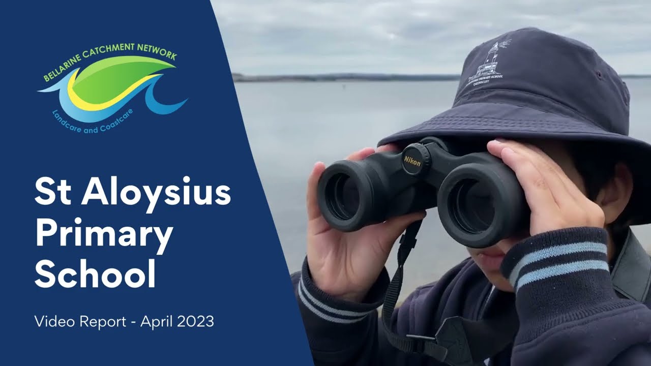 Learning about Ramsar wetlands in Queenscliff