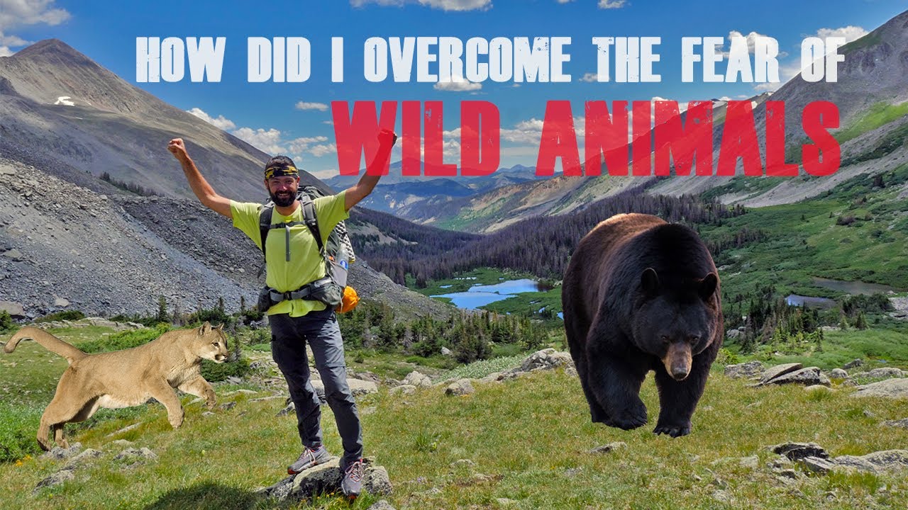 How did I overcome the fear of wild animals