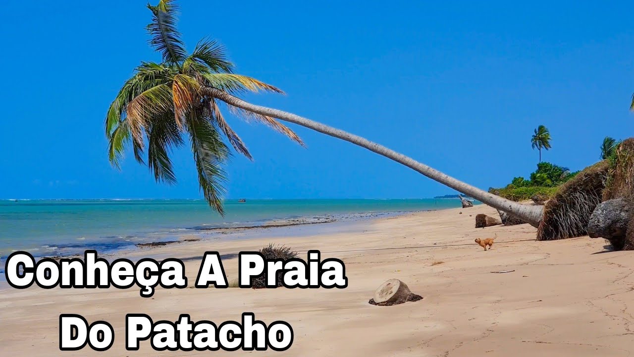 Praia Do Patacho Em Porto de Pedras Alagoas ( Rota Ecológica dos Milagres)