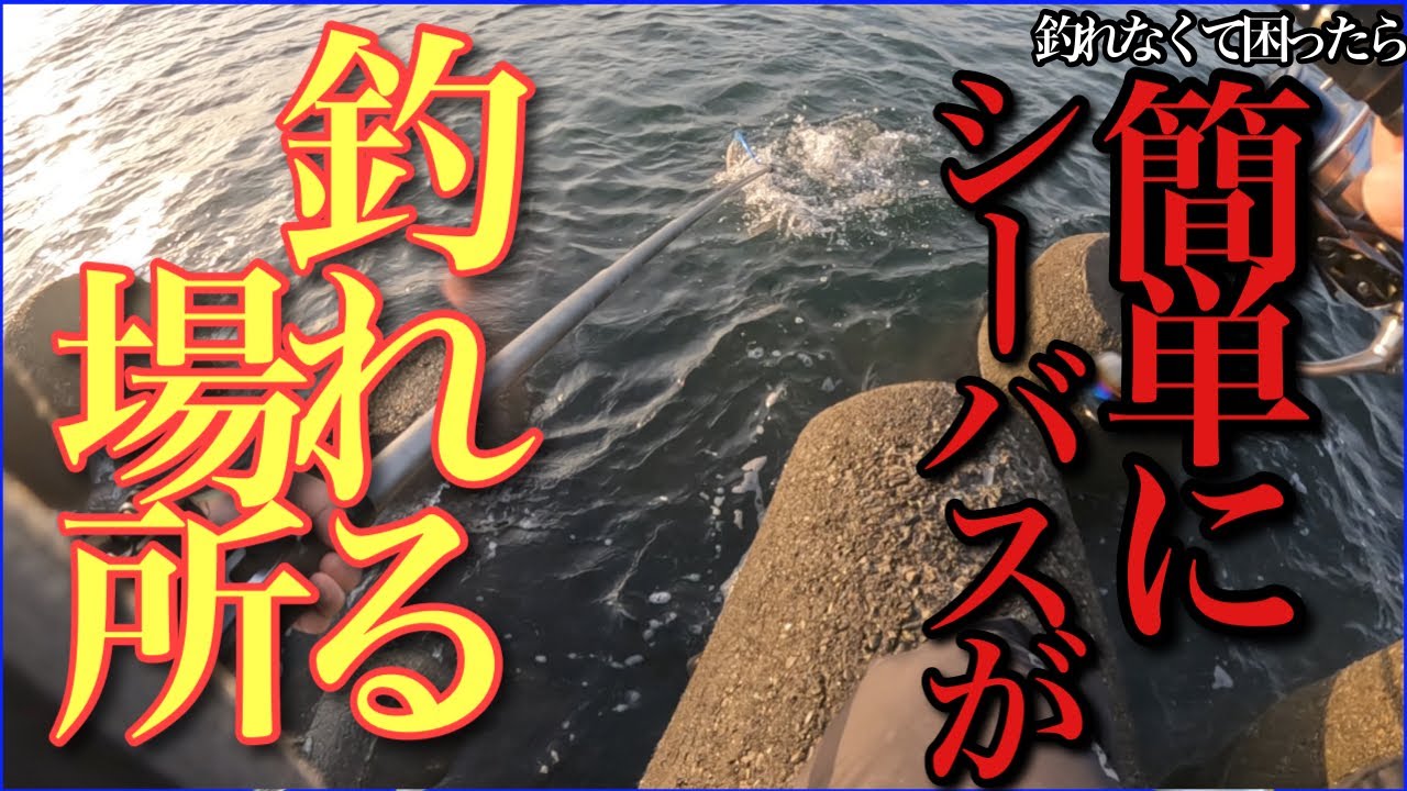 シーバス釣るなら狙うべき場所