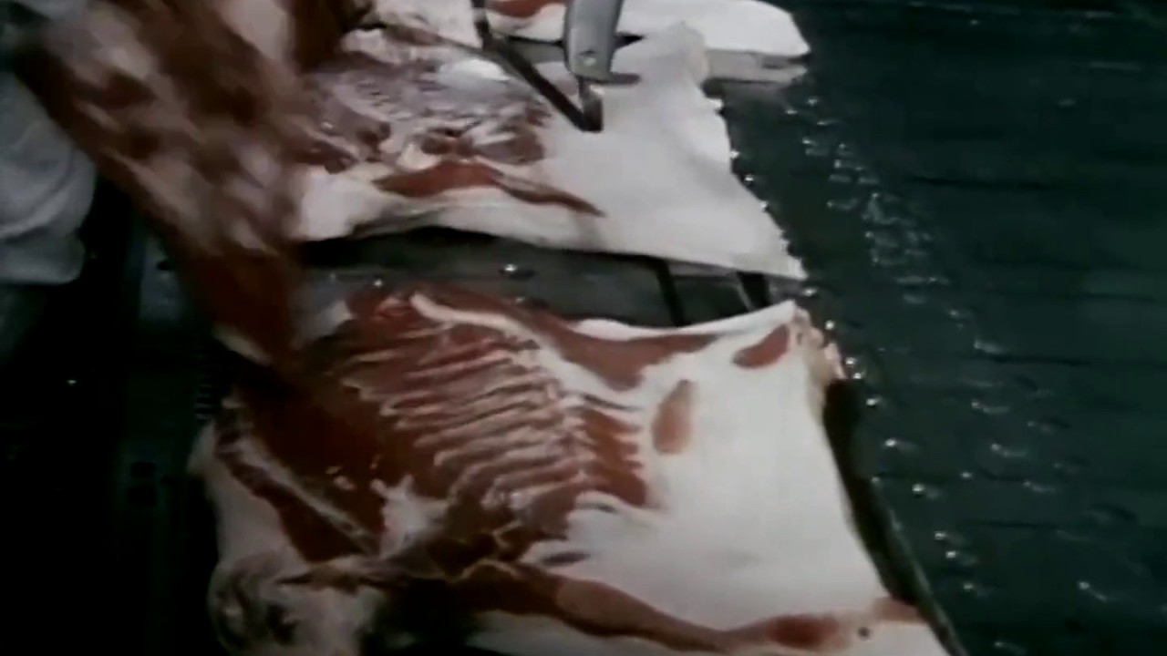 Hormel Chili, Spam, & Dinty Moore Beef Stew   This Is Hormel    1965 Hormel Meat Co ✪ Retro Document