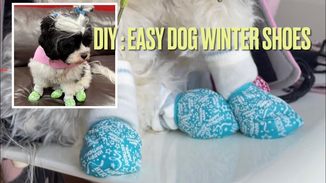 DIY: Easy, Cheap, Wet-resistant Dog Winter Shoes