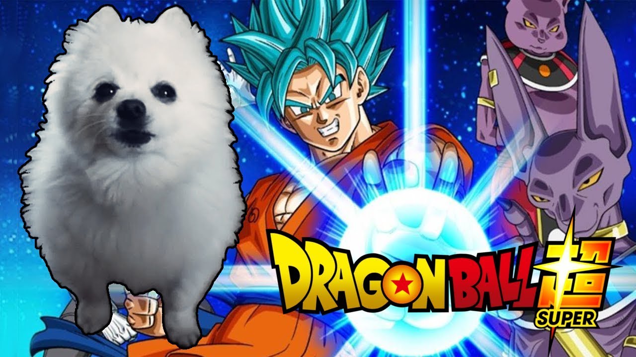 DRAGON BALL SUPER em CACHORRÊS
