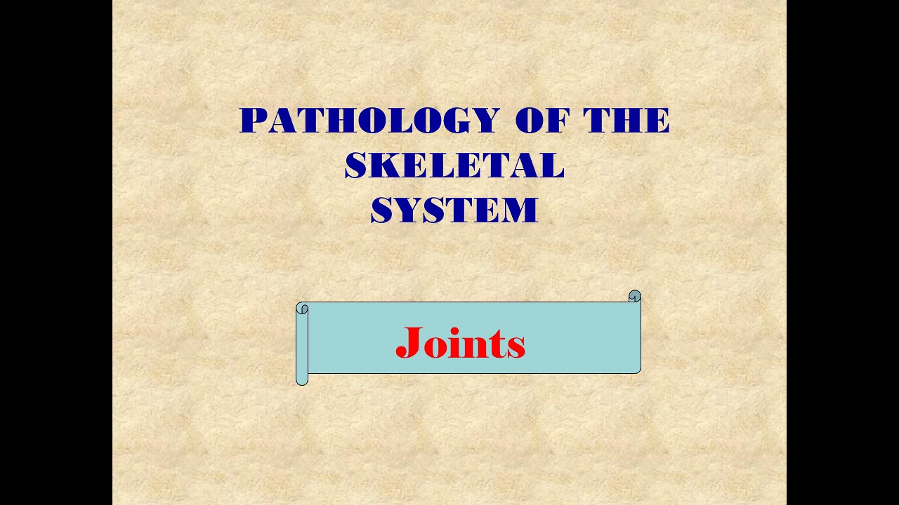 lecture 4 Part I .. Skeletal System