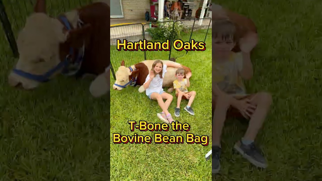 Meet T-Bone the Bovine Bean Bag from Hartland Oaks.