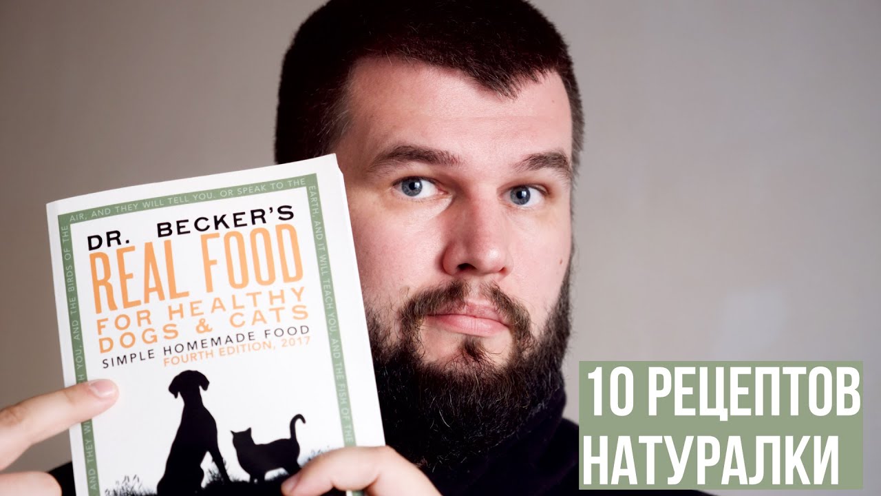 10 рецептов натуралки для собак от холистического ветеринара