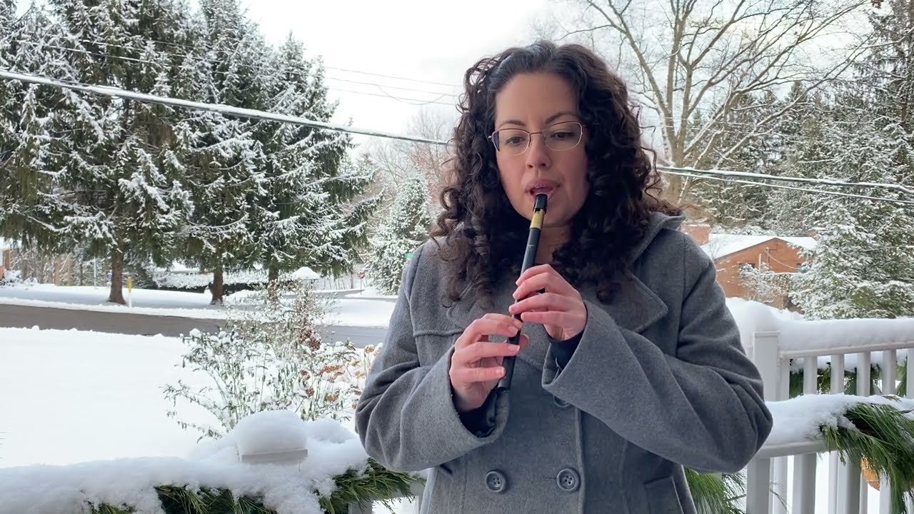 Concerning Hobbits from "Lord of the Rings" (by Howard Shore) - Tin Whistle Cover
