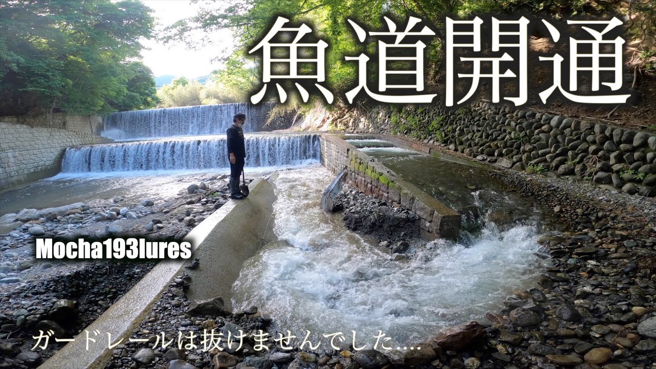 【魚道】#5.5 開通してる方が気持ち良い。Fishway maintenance