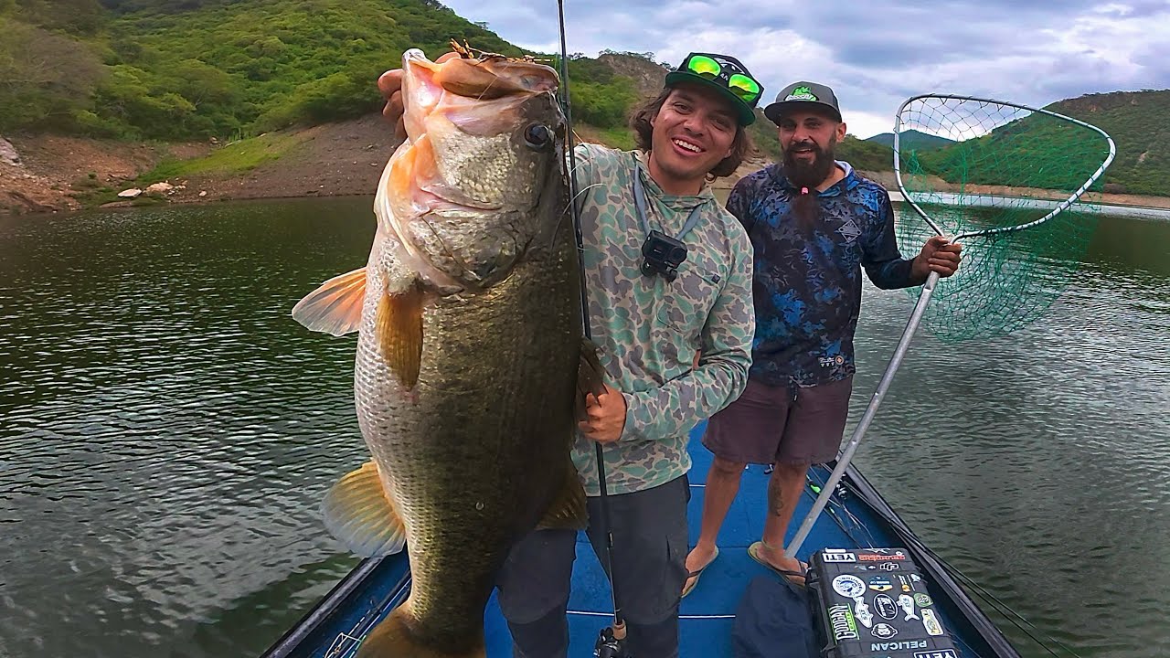 Pesca de Lobinas Gigantes en México +6 Kg! | NUEVO RÉCORD