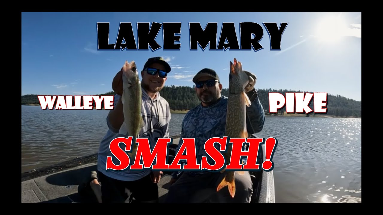Lake Mary Walleye And Pike Smash In Flagstaff Arizona