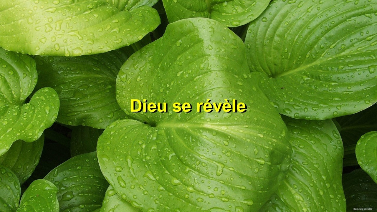 Dieu se révèle