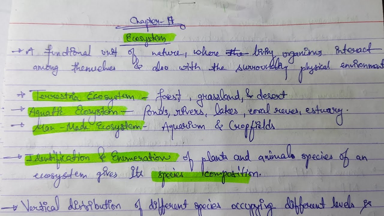 Class 12 : Biology : chapter 14 : Ecosystem super short notes for #boards and #neet #neet2023