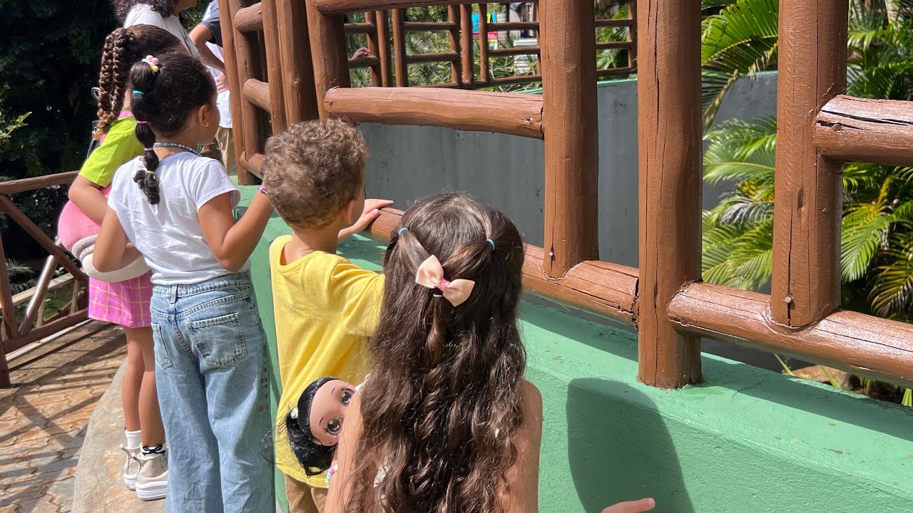 Um dia no zoológico 🐒