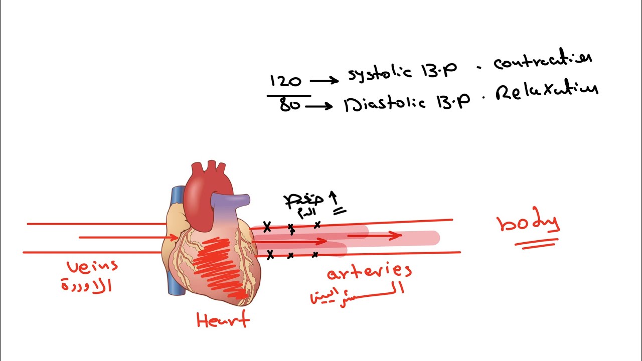 شرح جابتر الضغط كامل سريرية وزاري مرحلة رابعة