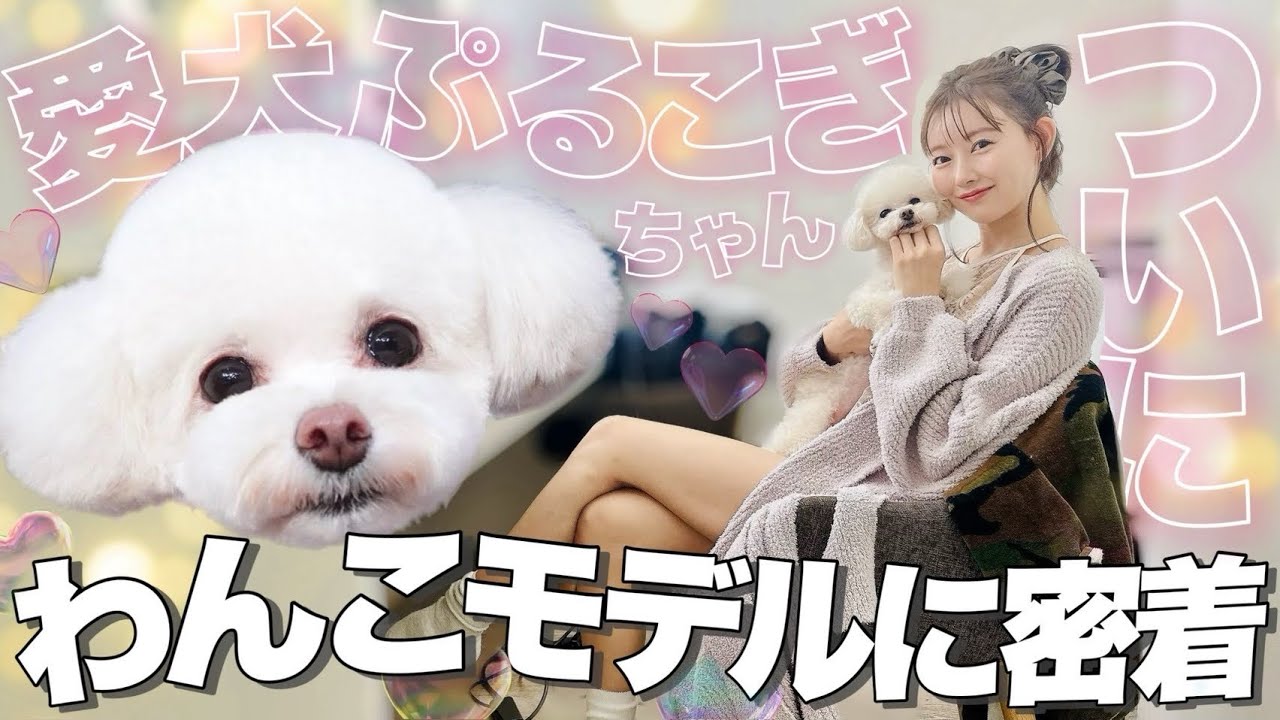 【みるきー】お仕事Vlog|ルームウェア|美人百花【渡辺美優紀】