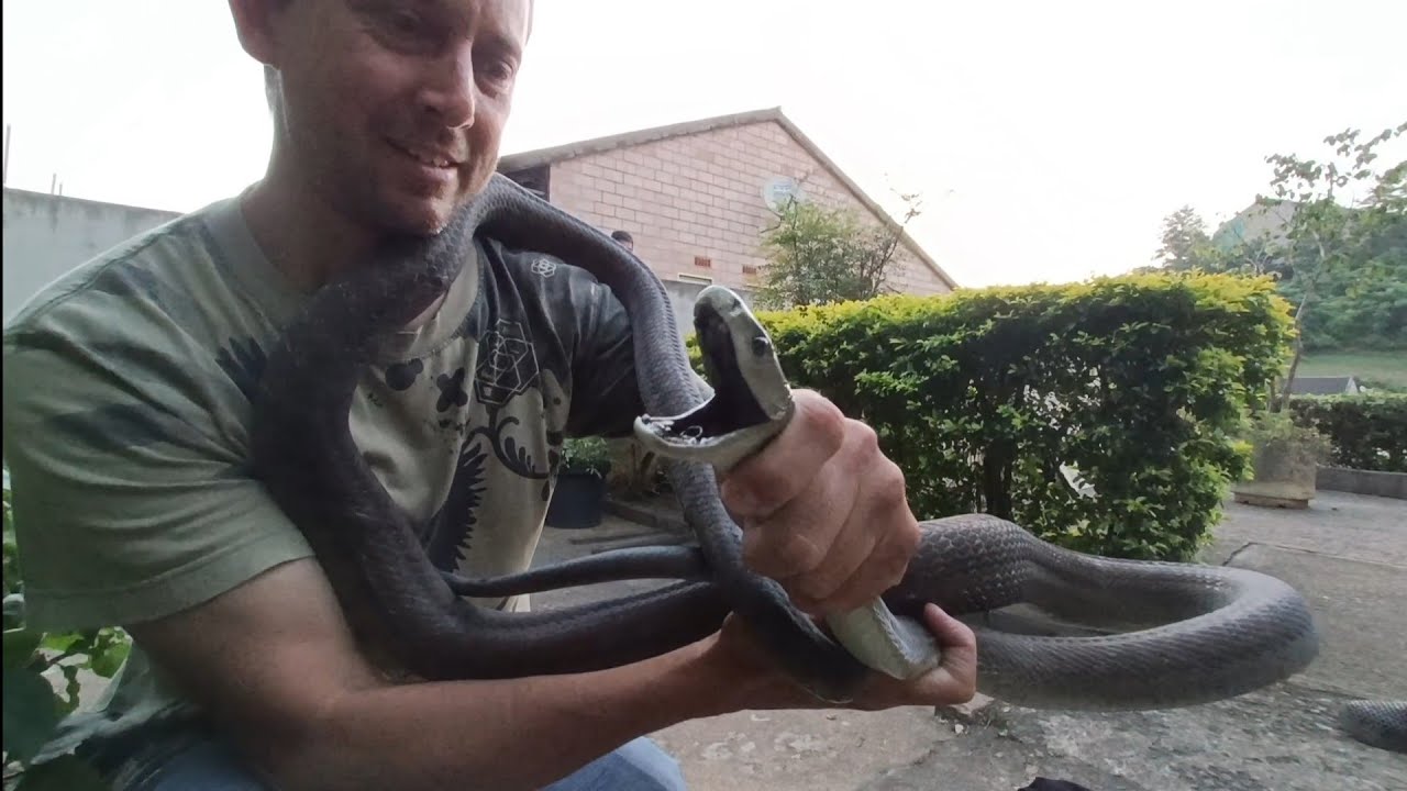 MAMBA MIA 😱😱😱!!!!