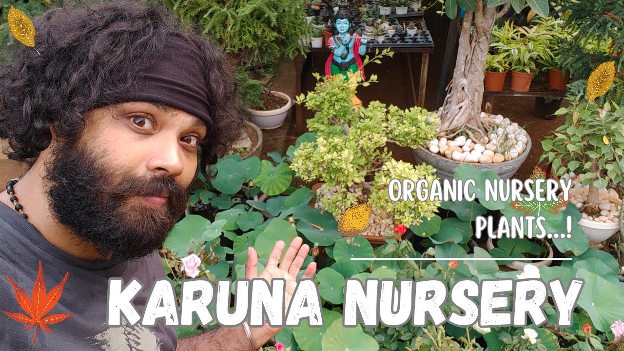 EXPLORING LARGEST NURSERY GARDE IN CHENNAI |KARUNA NURSERY| VJ KRISH | KW