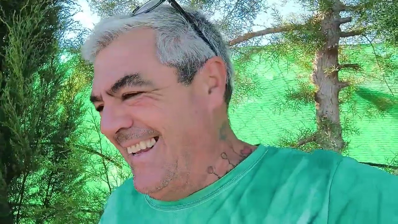 El cultivo del guisante, así lo hacemos nosotros.