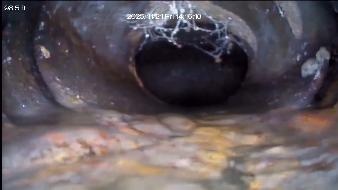 7 Cedar Lane Sewer Video