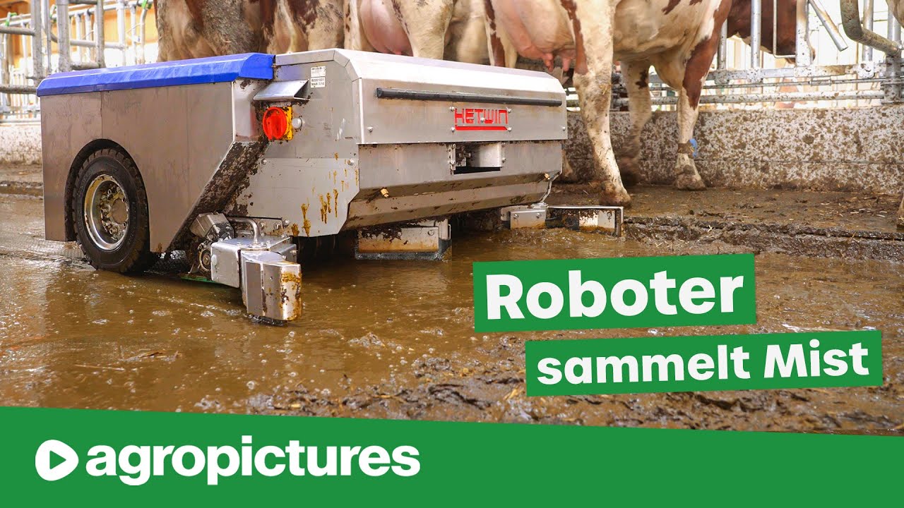Hetwin Avenger pickup | Entmistungsroboter ohne Spalten | Mistsammelroboter für den Kuhstall