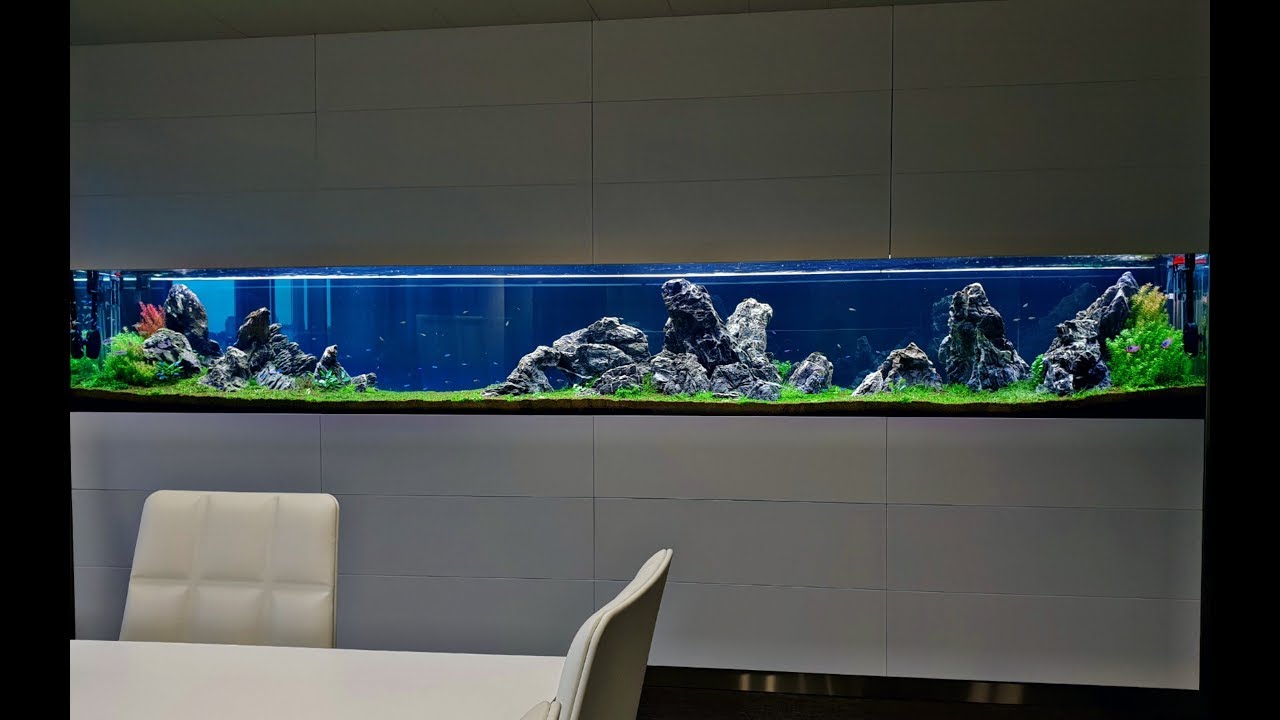 Acuario a medida de 5 metros || Parte III: Plantado y Llenado || PezVerde