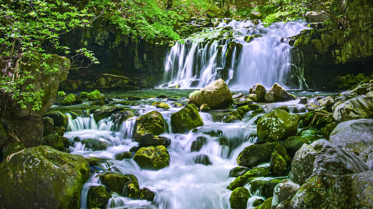 [4K] 初夏の蓼科大滝と苔むす森 / 癒しの自然音 - Tateshina Waterfall with relaxing nature sounds - (shot on BMPCC6K)