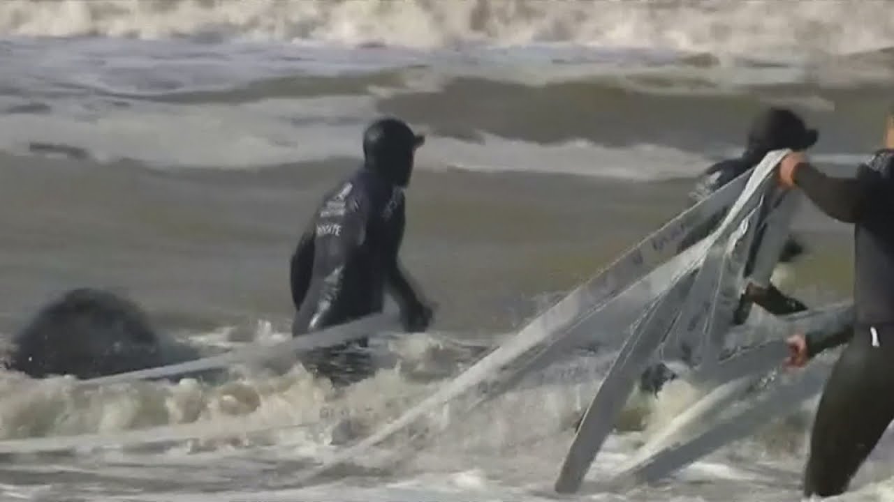 Beached whale appears to 'wave goodbye' to rescuers at Argentine Coast