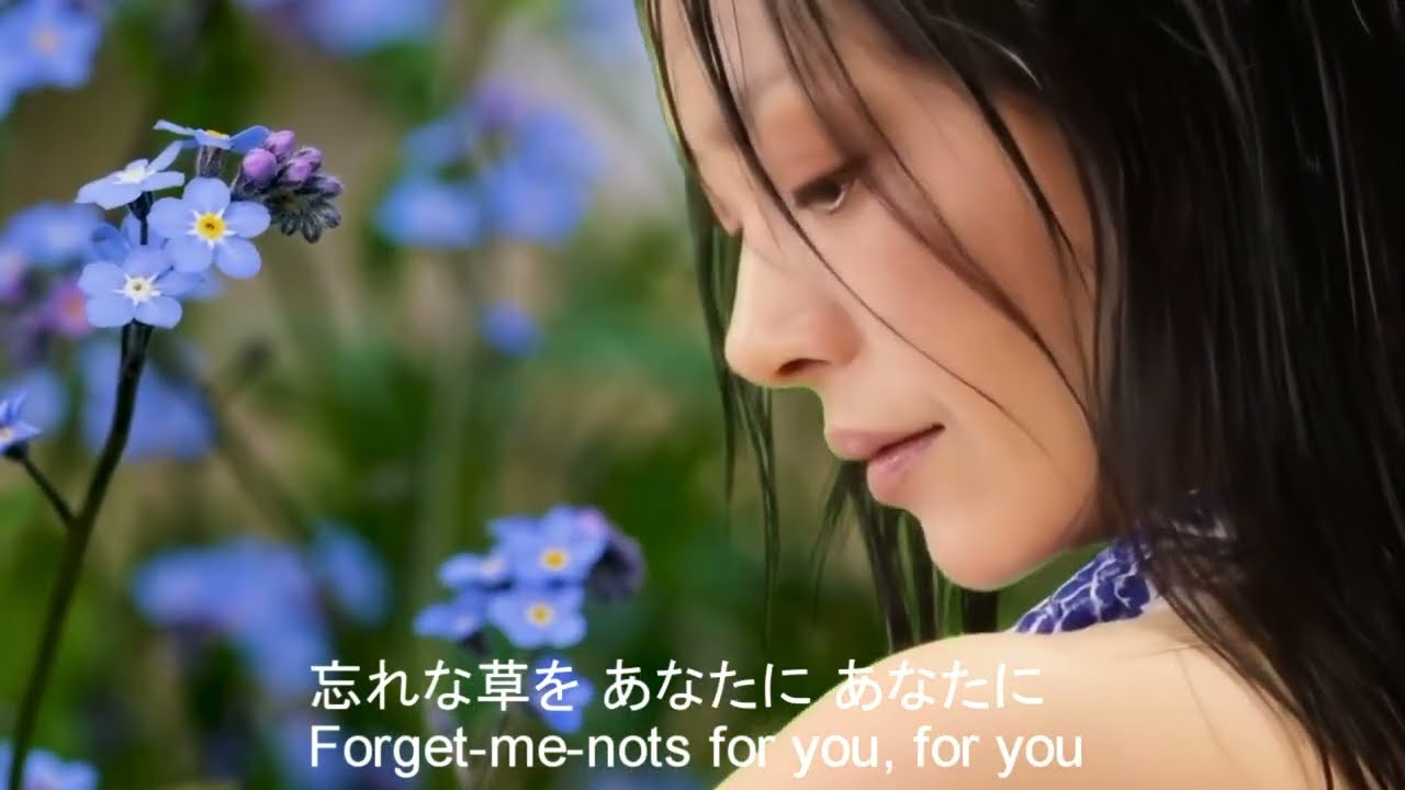 Forget-Me-Nots for You (忘れな草をあなたに 勿忘我)